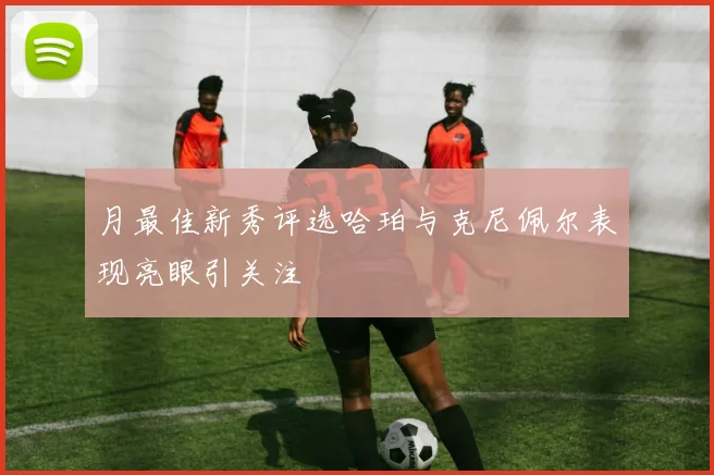 月最佳新秀评选哈珀与克尼佩尔表现亮眼引关注