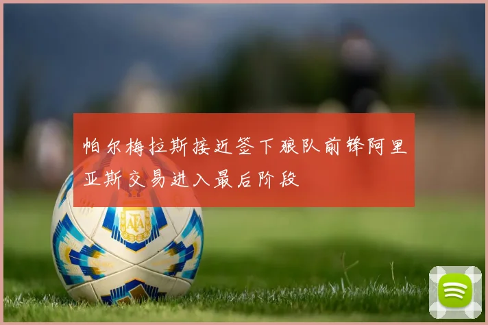 帕尔梅拉斯接近签下狼队前锋阿里亚斯交易进入最后阶段