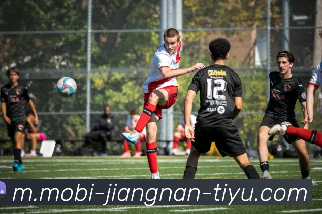 多媒体互动体验